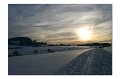 Winter M 20